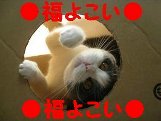 ぴーちゃん招き猫.jpg